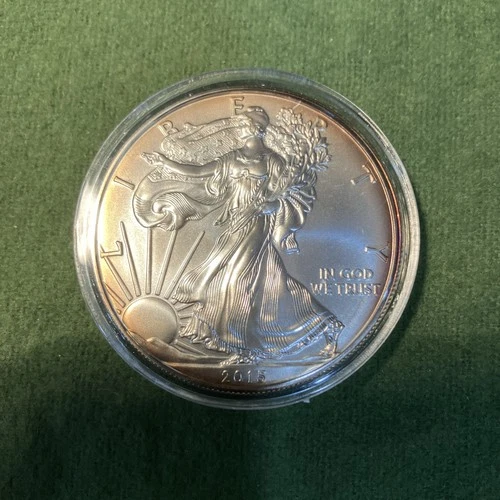 2015 AMERICAN SILVER EAGLE .999 FINE SILVER 1 troy oz Nice Edge Tonning #287