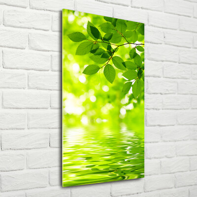 Wand-Bild Kunstdruck aus Acryl-Glas Hochformat 70x140 Grüne Blätter