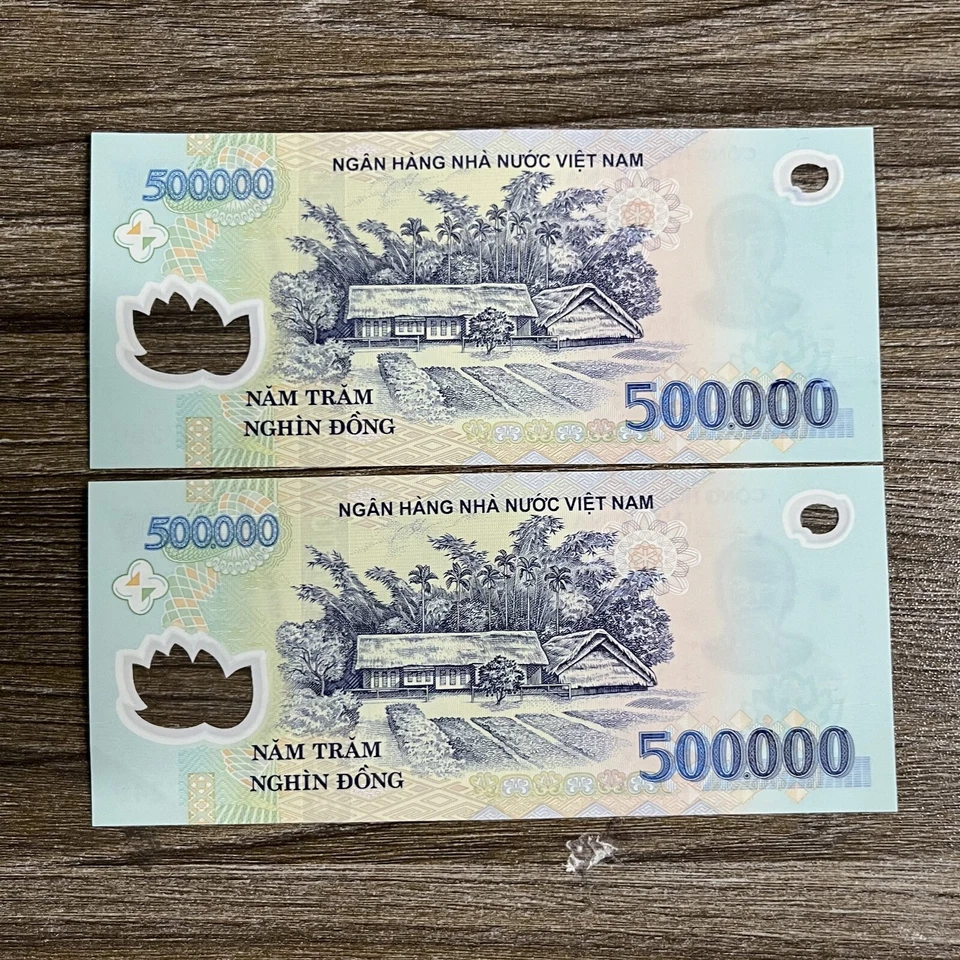 1.000.000 VND (2x500.000) 1 MILLÓN DE DONG VIETNAMITA, DINERO Y MONEDA DE VIETNAM Foto 2 de 3