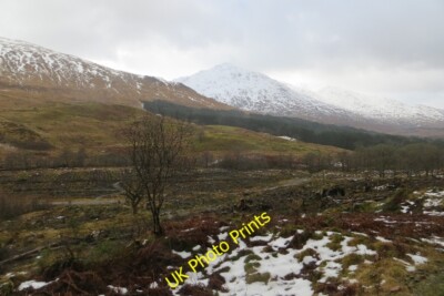 Photo 6x4 Glen Creran Glen Creran/NN0550 Felling reveals a view of Beinn c2015