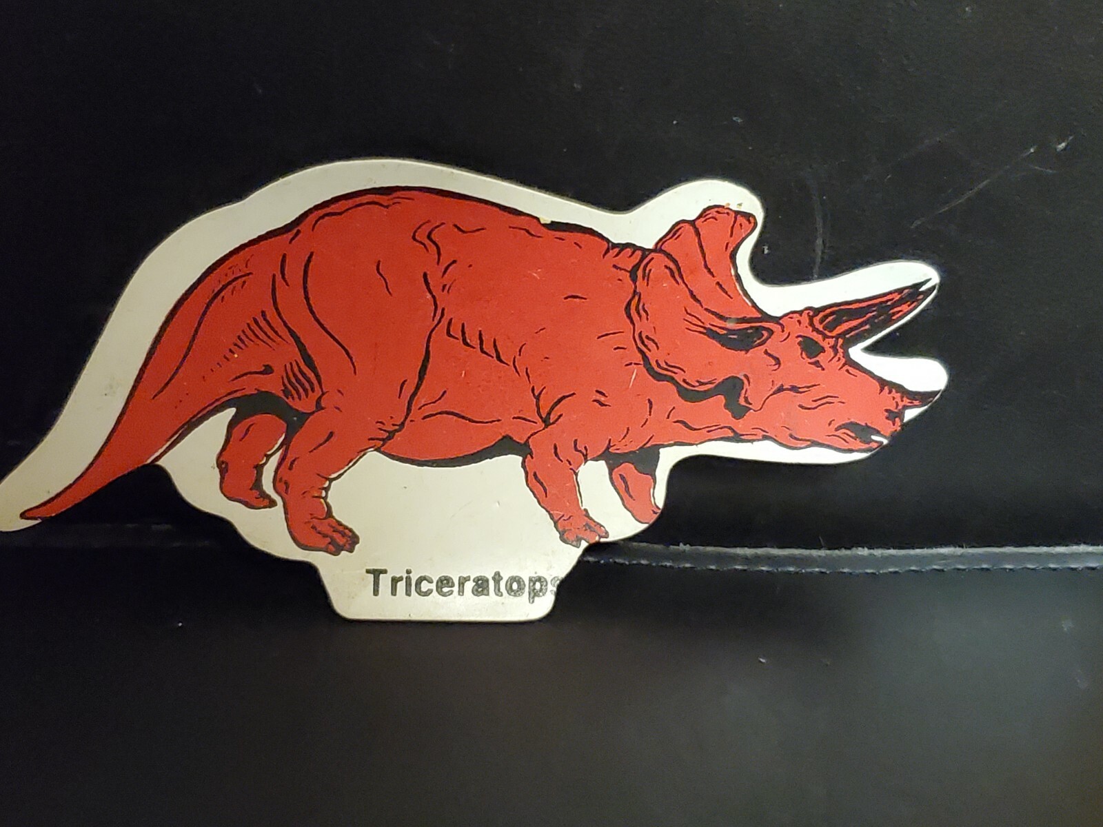 Picture 5 of 5