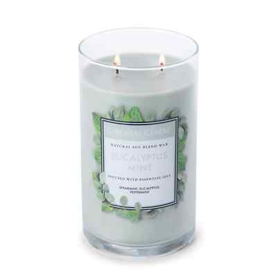 COLONIAL CANDLE Duftkerze Glas EUCALYPTUS MINT, Glas 538 gr,  Eukalytus Minze
