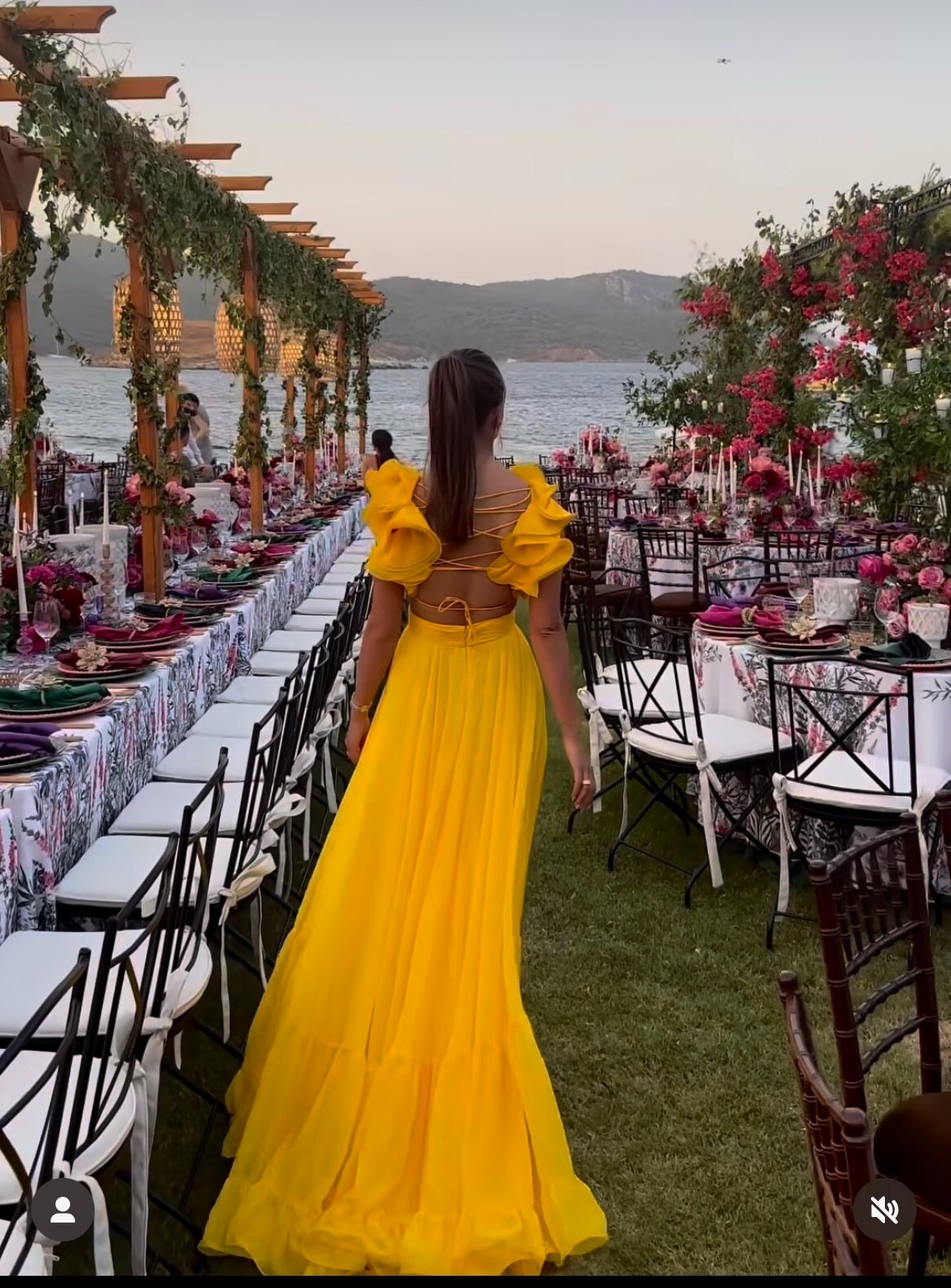 formal dresses. Mac Duggal Indy ALine Ruffled BackLace Chiffon Gown