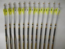 12 Gold Tip Hunter Pro 300 Carbon Arrows Custom White Dip Crest/Blazer Vanes
