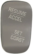 2000-2003 Buick LeSabre RH Cruise Control Switch Charcoal New 12451248 12450217