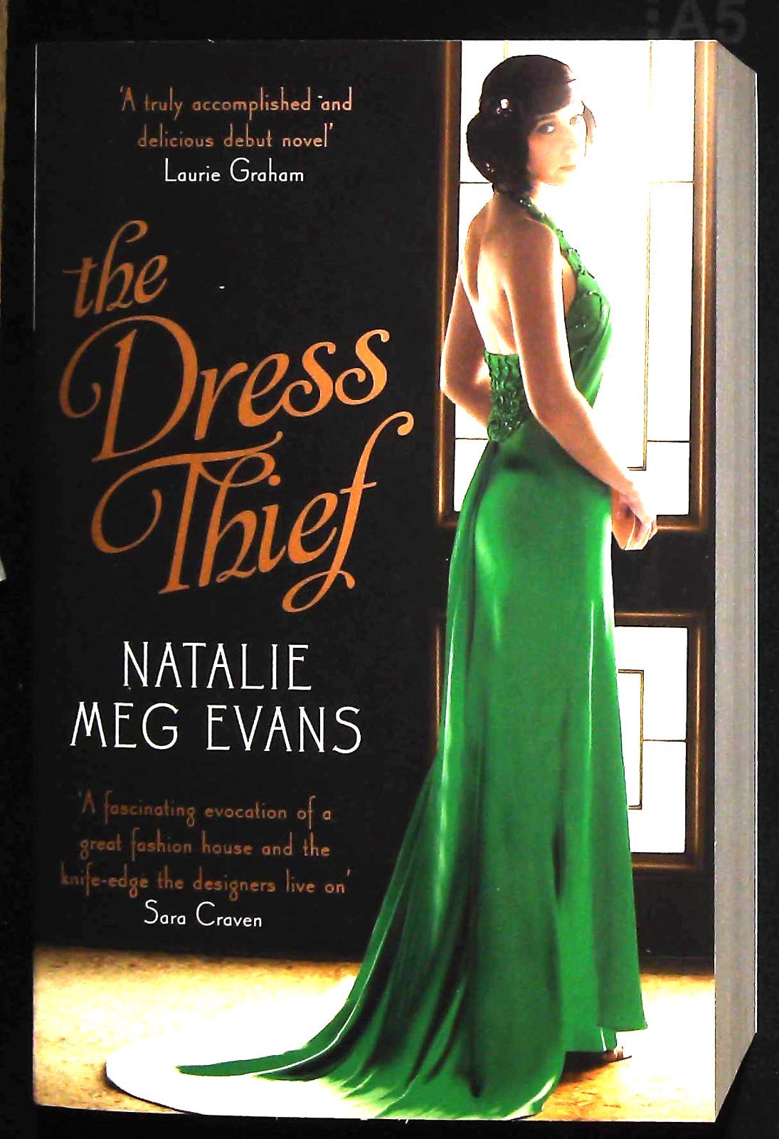 The Dress Thief by Natalie Meg Evans (Paperback) New Book