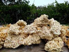 25 lbs Medium/Large Dry Reef Base Rock, Lightweight, Porous, Aquariums Live