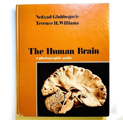 The Human Brain: A Photographic Guide