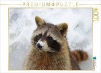 Calvendo Puzzle WaschbäR Im Schnee | 1000 Teile Lege-GrößE 64X48Cm Foto-Puzzle F