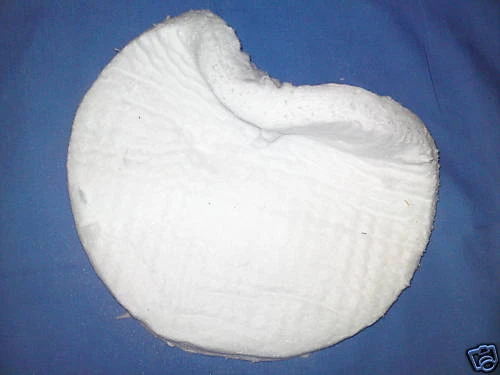 LAVADORA A PRESIÓN LIMPIADOR A VAPOR CALDERA KEW BOBINA INFERIOR FIBRA FUEGO MATE 10" DIÁMETRO