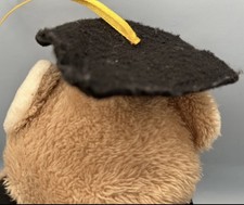 Graduation Plush Toy Bear Cap Gown Diploma 9” Black Gown and Cap Gold Ribbons