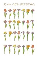 Geburtstag - GlüCkwunschkarte Im Format 11,5 X 17 Cm Mit Umschlag - Blumen - Mit