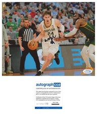 Matthew Mayer Baylor Bears NCAA 2021 Champions Signed Autograph 8X10 Photo ACOA
