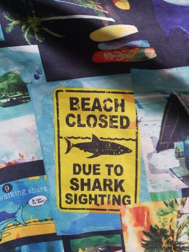 OP Boys Swim Trunks Shorts Size (18) XXL Shark Fish facts Elastic Waist - Picture 2 of 5