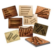 Yellow Door Dinosaur Bones Match  Measuring Cards