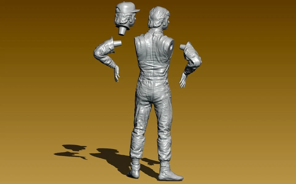 RONNIE PETERSON Jr si somigliano. - Tyrrell Lotus Marzo Ferrari Porsche 1/18 - Immagine 4 di 4