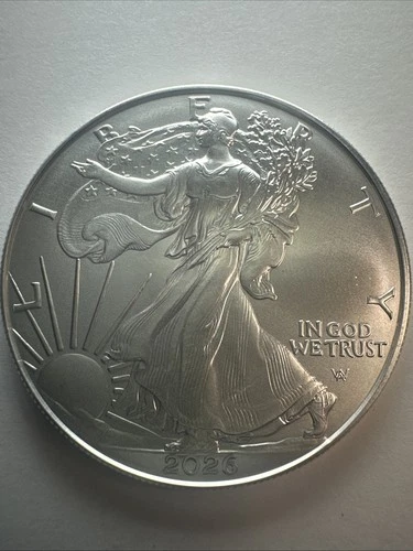 2026 1 oz American Silver Eagle Coin Fresh From Tube High Grade. See Pics (4321)
