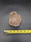 CIVIL WAR DUG RELIC SHELL EXPLODED ARTILLERY ORDNANCE Lawrence Pawl Collection