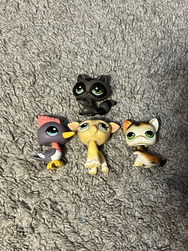 Lot De Chats Littlest Pet Shop - Persian Cat #428 #1063 #722 #251 - Authentiques