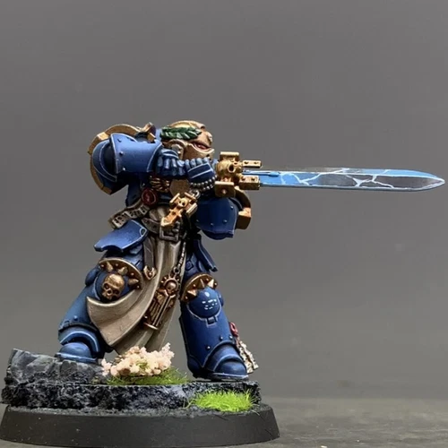 Primaris Company Champion Warhammer 40k army Space Marines well Painted 40000