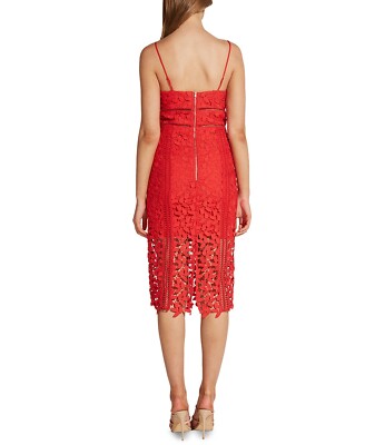 sir willa lace dress Wild Rose & Sparrow The Desirée Dress in Lily Lace