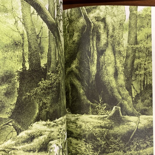 Takehiko Inoue Vagabond Art Book Sumi Illustration - Picture 5 of 12