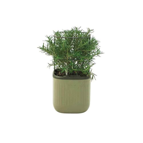Mini Planter Box Recyclable Plastic with Trellis Self-Watering Raised Garden Bed