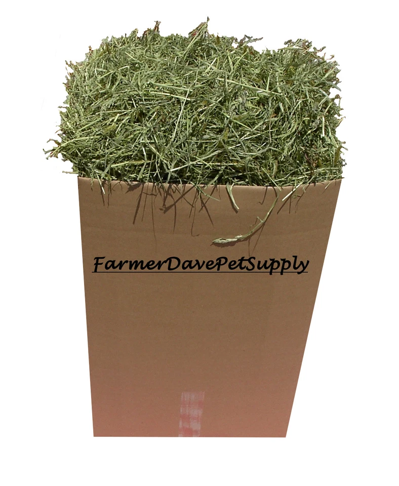 FARMERDAVEPETSUPPLY 35 lb " Early 1st Cut " Premium Rabbit and Bunny "HAY-IN-A-BOX"
