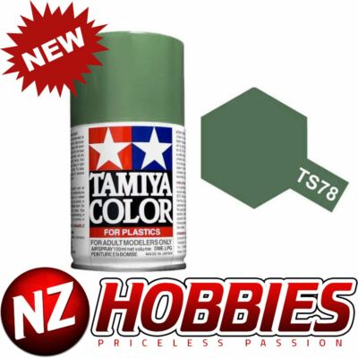TAMIYA TAM85078 Spray Lacquer TS-78 Field Gray 2