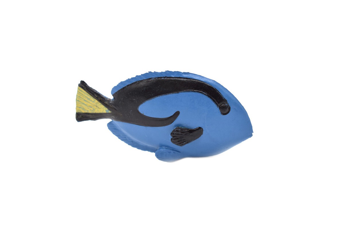 Blue Tang, Fish Toy, Surgeonfish, Plastic Fish Realistic Gift 2.25
