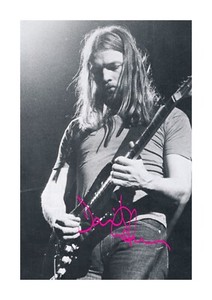 David Gilmour 直筆サイン入り 8X12 フォト