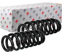 2X NK Federn Fahrwerksfedern Spiralfedern Vorne FüR BMW 1Er F20 F21