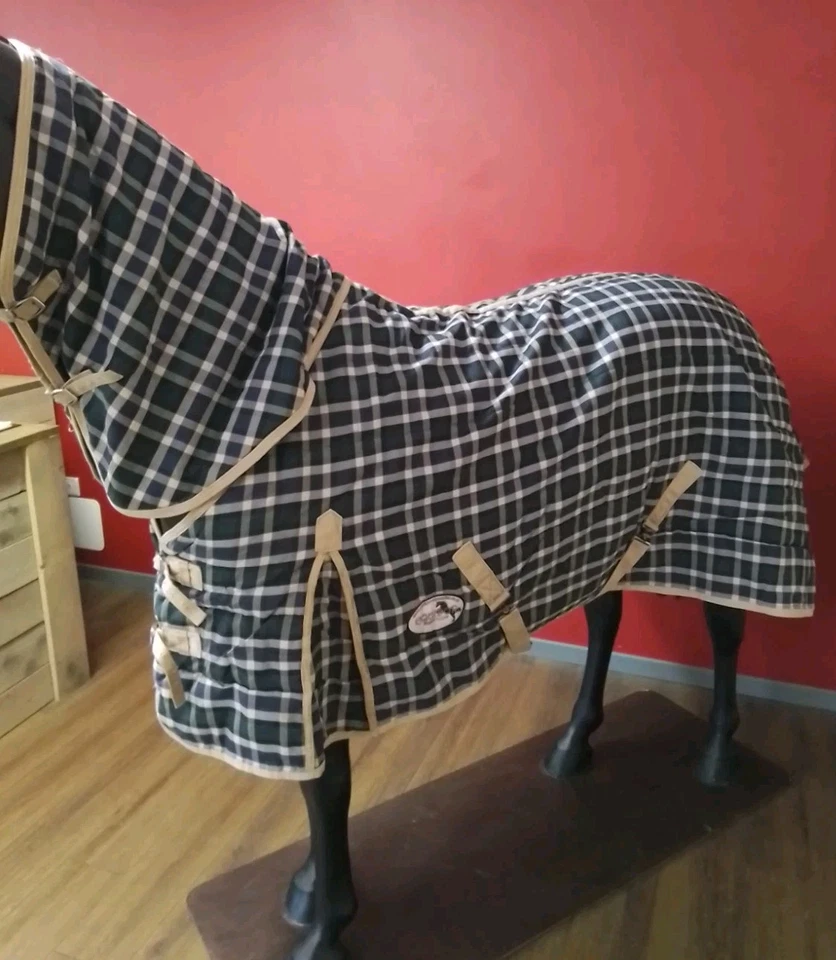 Blau und grün Equidor Combo stabiler Teppich mittelschwer 6 Fuß 3 6 Fuß 3 Zoll Kal. 2971