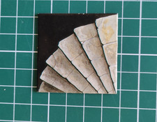 Heroquest :  escaliers /entrée / sortie  (carré / jeton / case / token / tile )