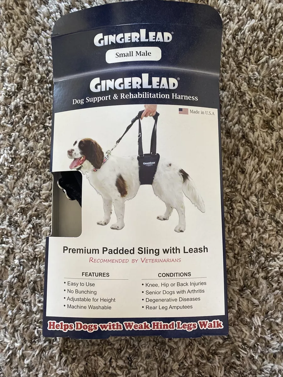 GingerLead Dog Support u0026 Rehabilitation Harness - Small Male Sling | eBay
