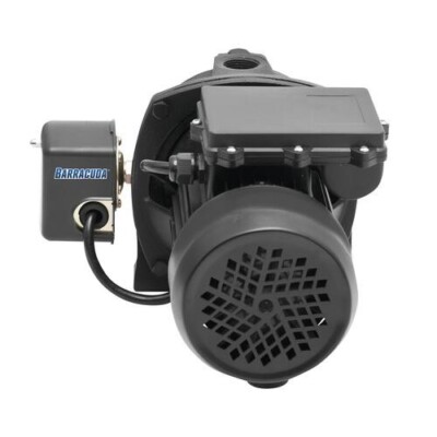 3/4 HP Convertible Jet Pump Rugged Cast Iron 12.4 GPM 61 PSI