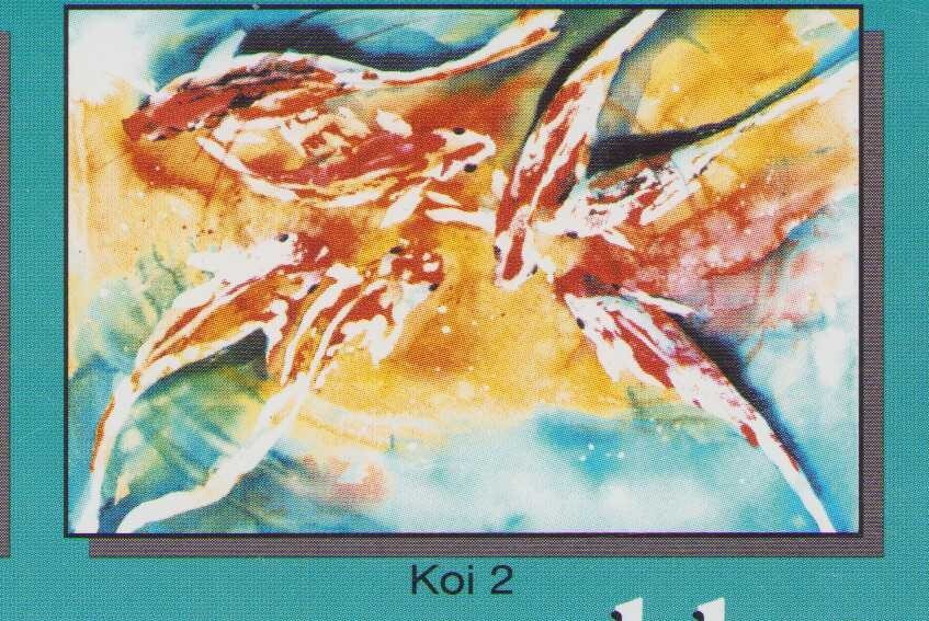 Picture 7 of 14