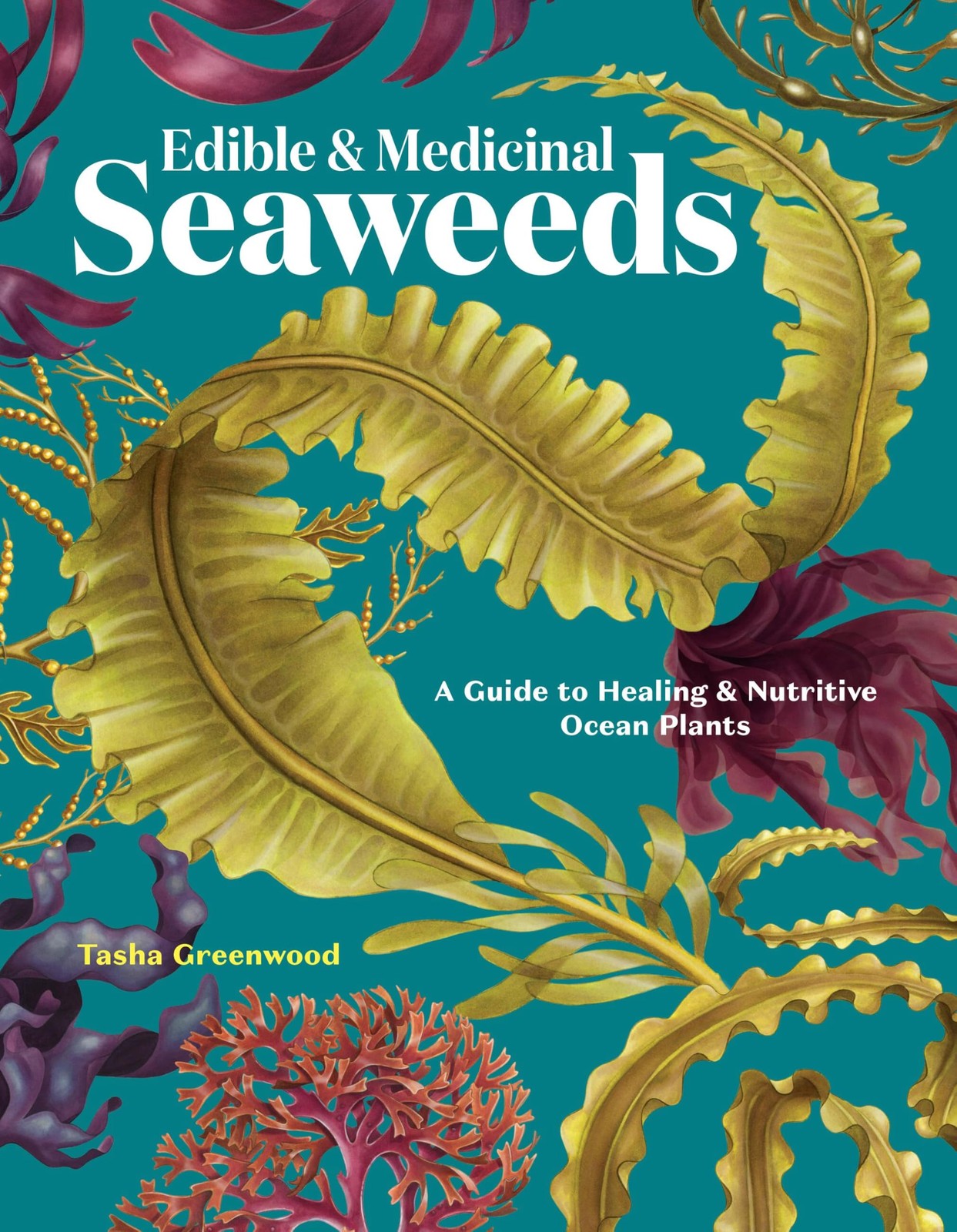 Edible & Medicinal Seaweeds: A Guide to Healing & Nutritive Ocean Plants by Tas - Image 7