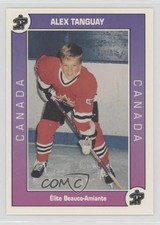 1993 Quebec Pee-Wee Hockey Championship Alex Tanguay #0523 1dm7