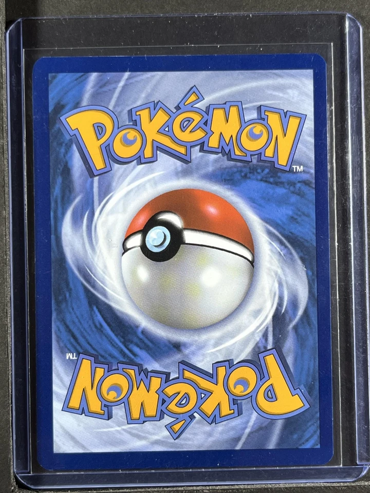 Feraligatr #213 SV: Scarlet & Violet Promo Cards 250001 - Image 2 of 2