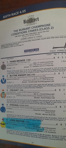 NEWMARKET RACE CARD, APRIL 30TH, 2005 - THE 2000 GUINEAS & FOOTSTEPSINTHESAND - Picture 17 of 21