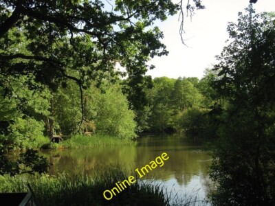 Photo 6x4 Fishpond, Wick Farm Blackstone/TQ2416 First mentioned in 1768  c2014