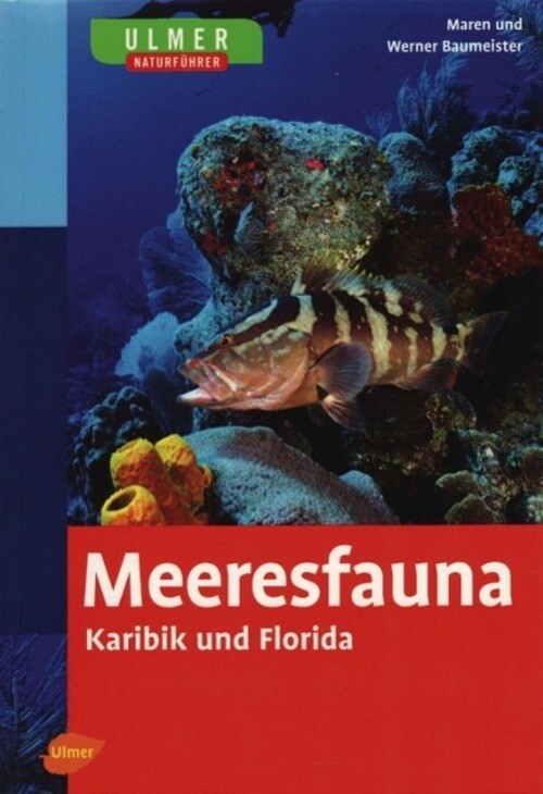 Thumbnail - Meeresfauna Karibik Und Florida | Maren Baumeister (u. A.) |