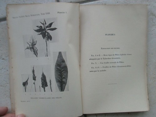 ANNALES / BULLETIN SOCIETE BELGE DE MICROSCOPIE, 1891/1907. - Picture 8 of 12