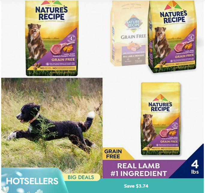 Nature&prime;s Recipe Dry Dog Food, Grain Free Salmon, Sweet Potato Pumpkin Recipe 4lb