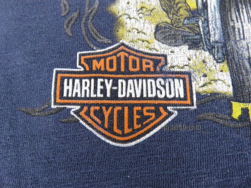 Harley Davidson Horny Toad Temple TX Women's XL T-shirt embellished - Picture 11 of 24