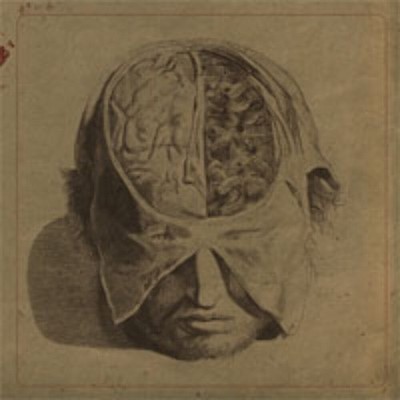 Farsot - Insects - Black Metal - Music CDD