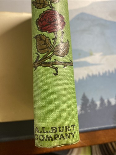 Vintage Buch ~ Odds And The Evens von Mrs. L.T. Meade - Alburt - HC DJ - Bild 15 von 15