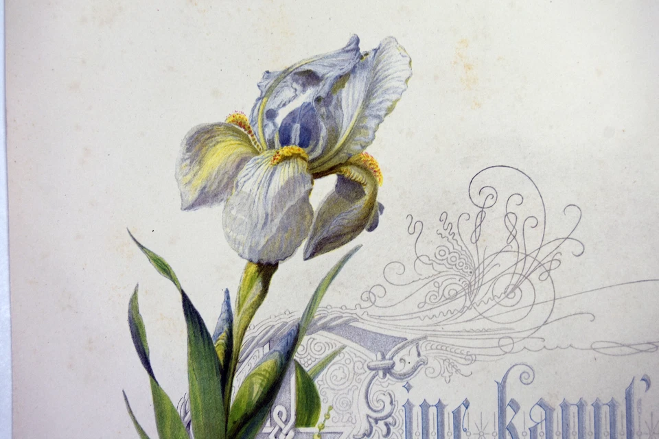 Estampa litho alemã antiga detalhes em tom de prata poema Goethe flores sino orquídea - Imagem 4 de 4