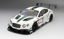 True Scale 1:18 BENTLEY GT3 #08 DYSON RACING 3RD PLACE SONOMA GP 2014